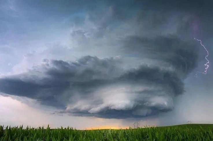 “浙江首例政信違約”再爆猛料，承銷商涉嫌非吸被立案