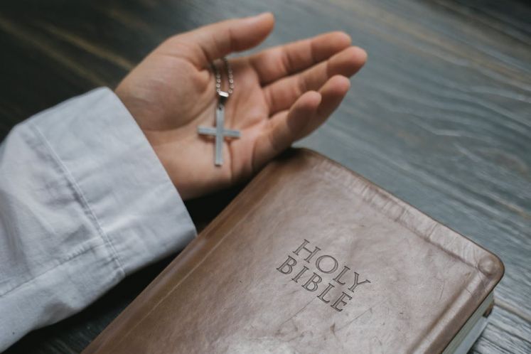 向死而生:千瘡百孔的凱迪生態(tài)何以實現(xiàn)自我救贖!